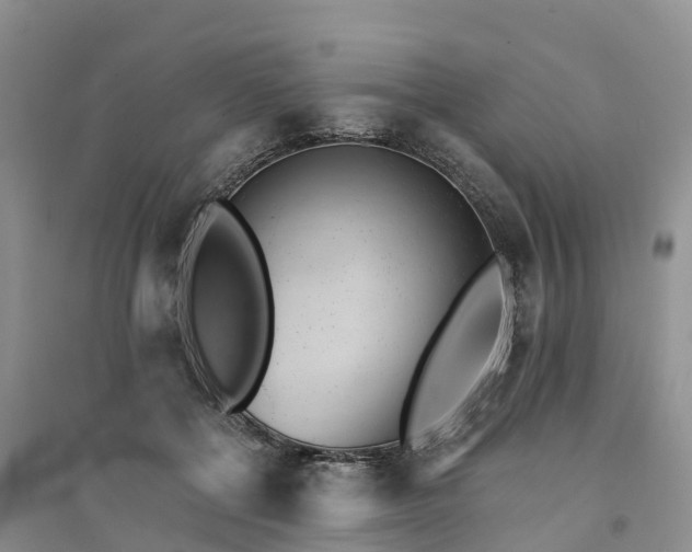 X0000094330552200711091407
