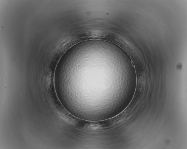 X0000094330554200711091407