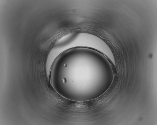 X0000094330555200711091407