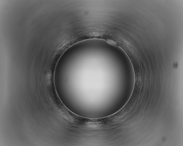 X0000094330556200711091407