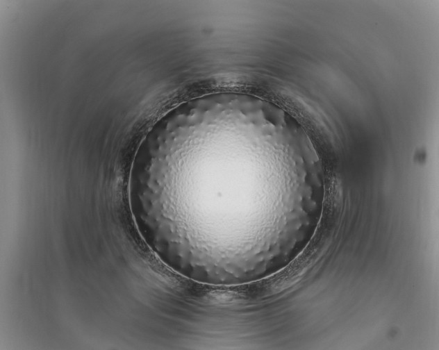 X0000094330557200711091407