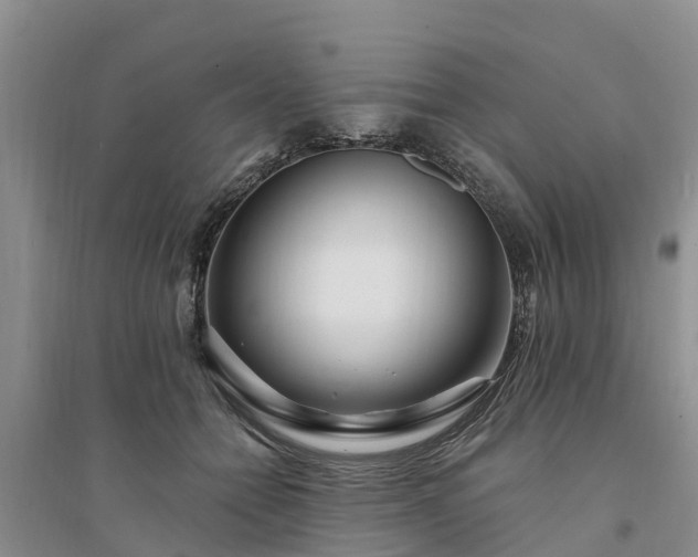 X0000094330558200711091407