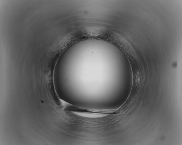 X0000094330559200711091407