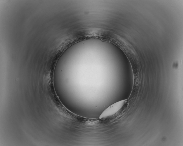 X0000094330560200711091407