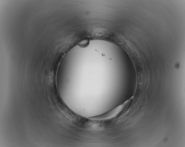 X0000094330563200711091408