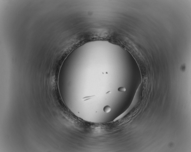 X0000094330564200711091408