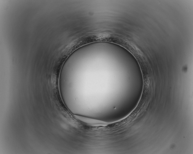 X0000094330565200711091408
