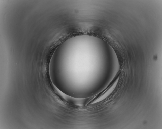 X0000094330566200711091408