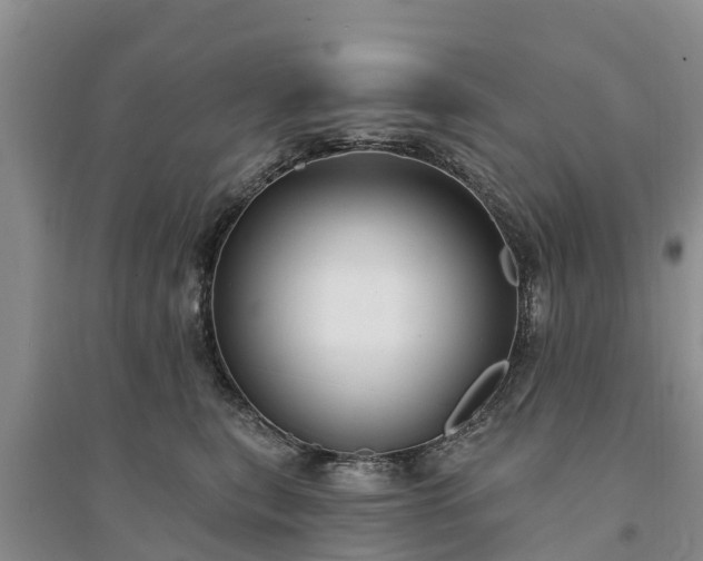 X0000094330567200711091408