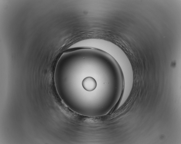 X0000094330568200711091408