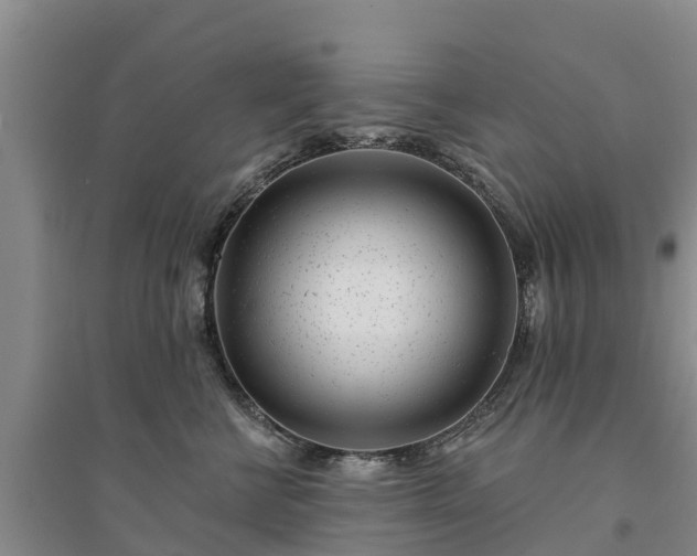 X0000094330570200711091408