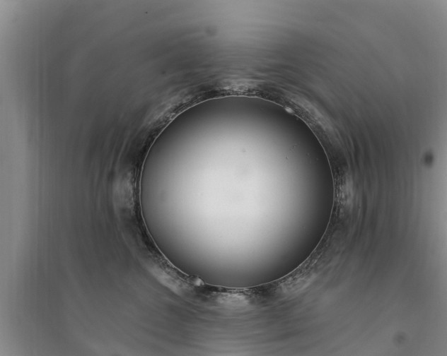 X0000094330572200711091408