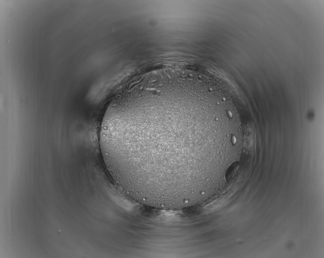 X0000094330573200711091408