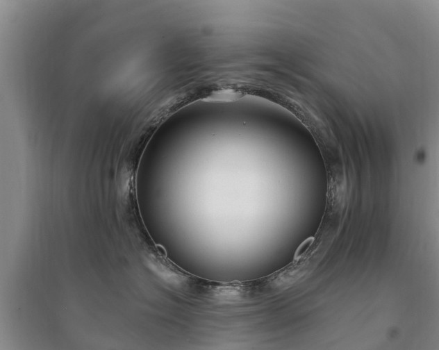 X0000094330574200711091408