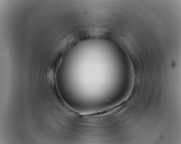 X0000094330575200711091408