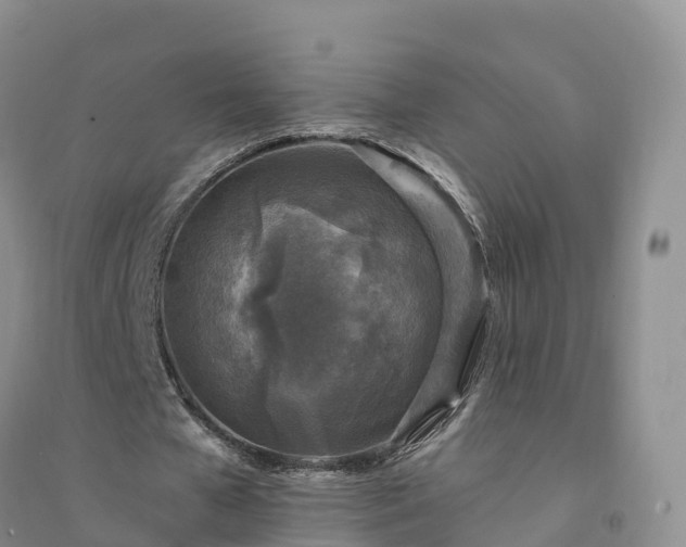X0000094330577200711091407