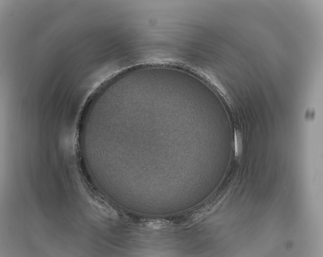 X0000094330579200711091407