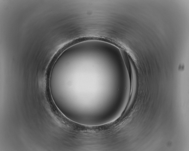 X0000094330580200711091407
