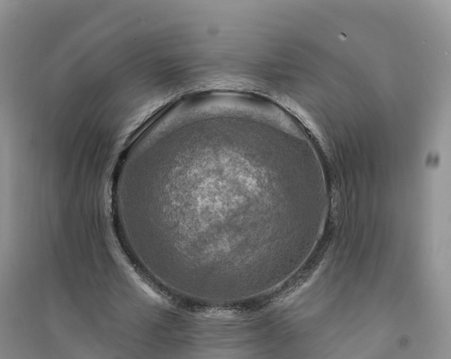 X0000094330581200711091407