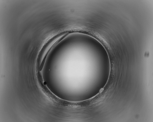 X0000094330582200711091407