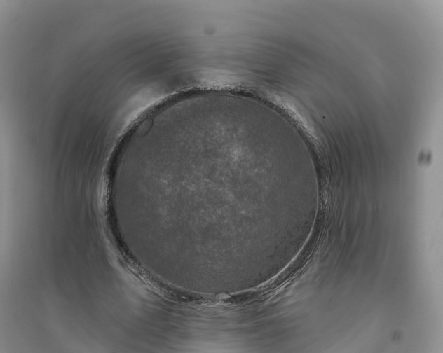 X0000094330583200711091407