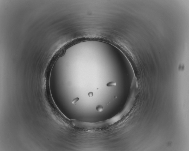 X0000094330584200711091407