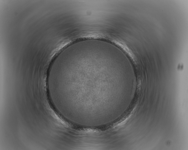 X0000094330585200711091407