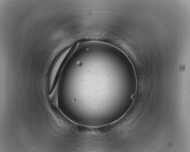 X0000094330586200711091407