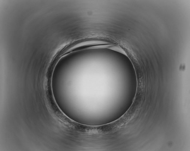 X0000094330587200711091407