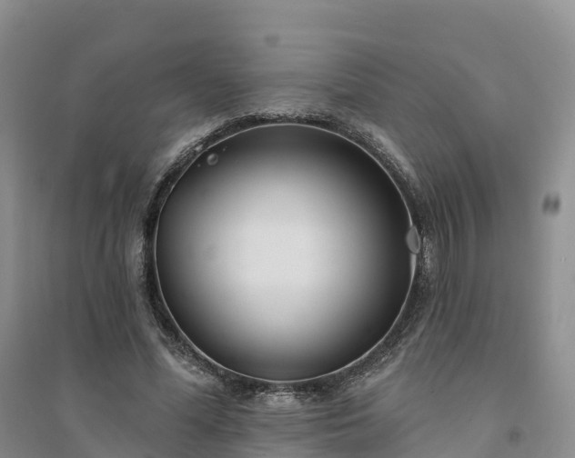 X0000094330588200711091407