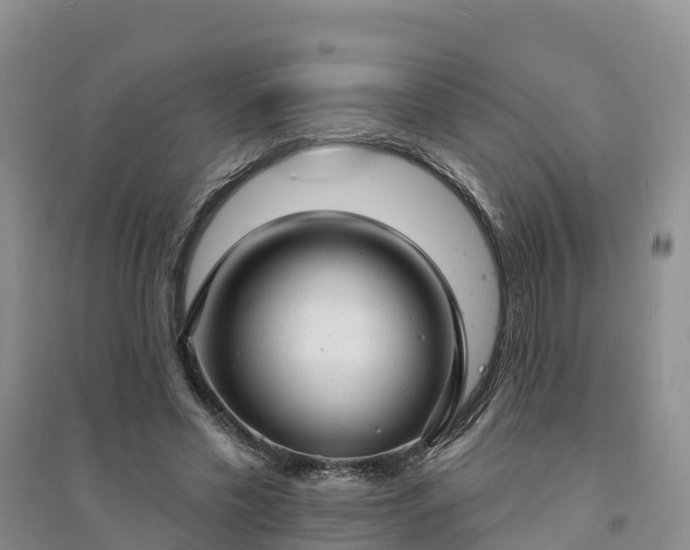 X0000094330589200711091407