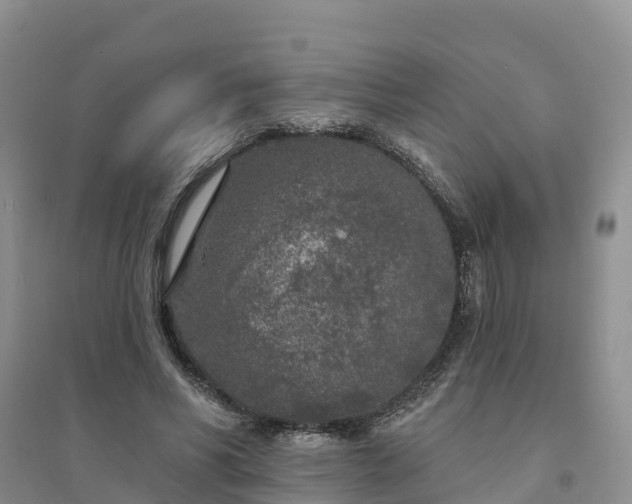 X0000094330590200711091407