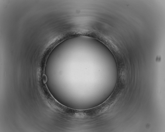 X0000094330591200711091407