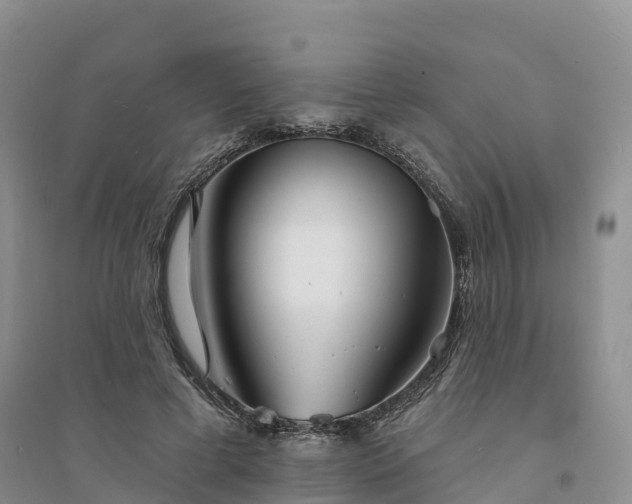 X0000094330593200711091407