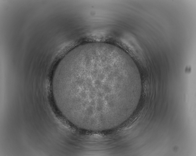 X0000094330594200711091407
