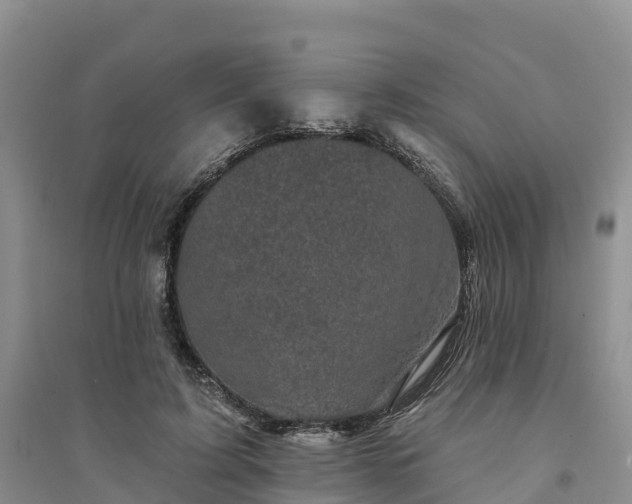 X0000094330595200711091407