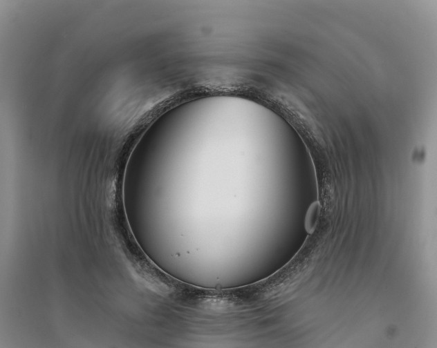 X0000094330596200711091407