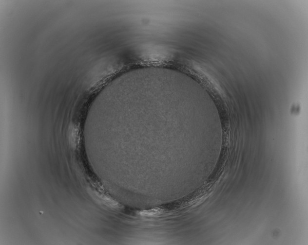X0000094330599200711091407