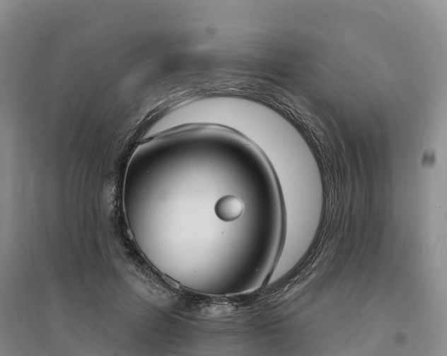 X0000094330600200711091407
