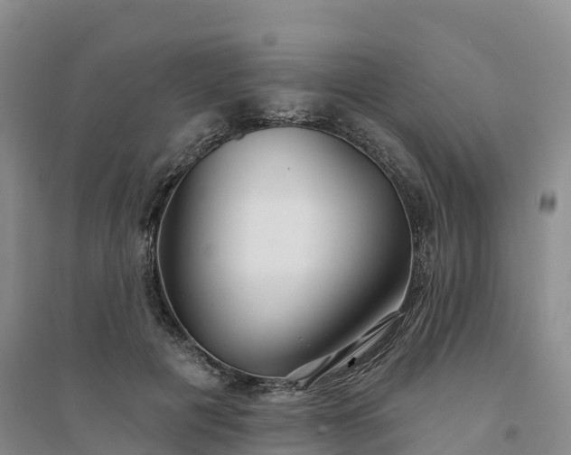 X0000094330601200711091407