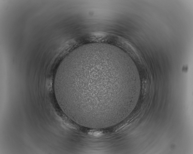 X0000094330602200711091407
