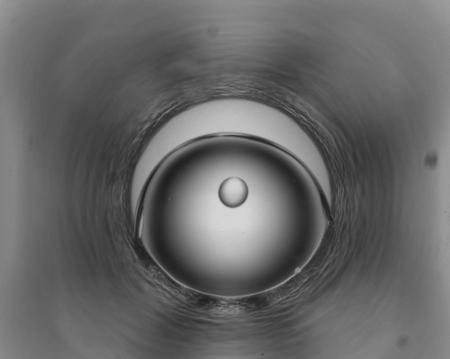X0000094330604200711091407