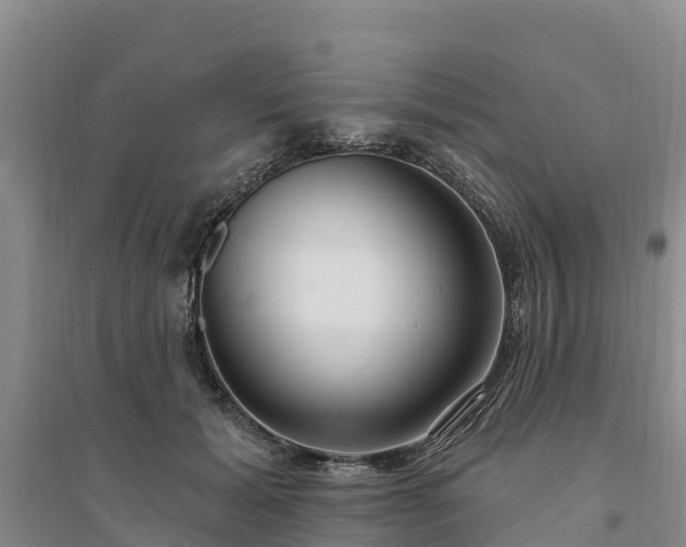 X0000094330605200711091406