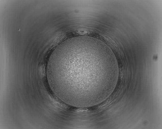 X0000094330606200711091406
