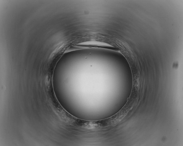 X0000094330607200711091406