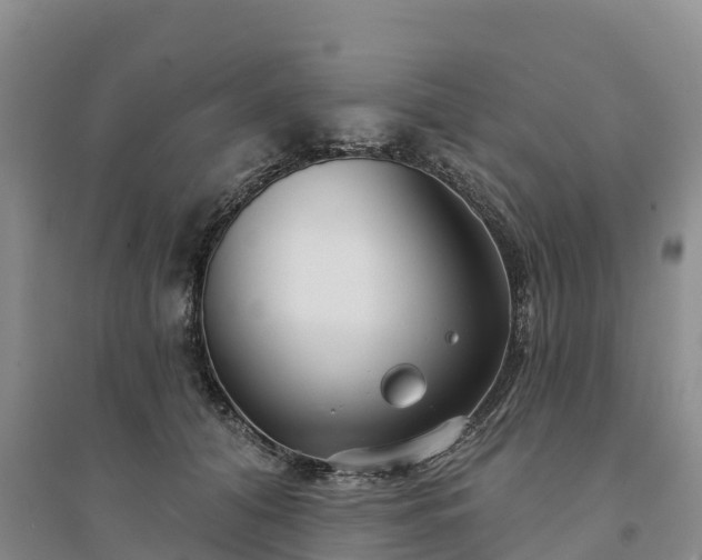 X0000094330608200711091406