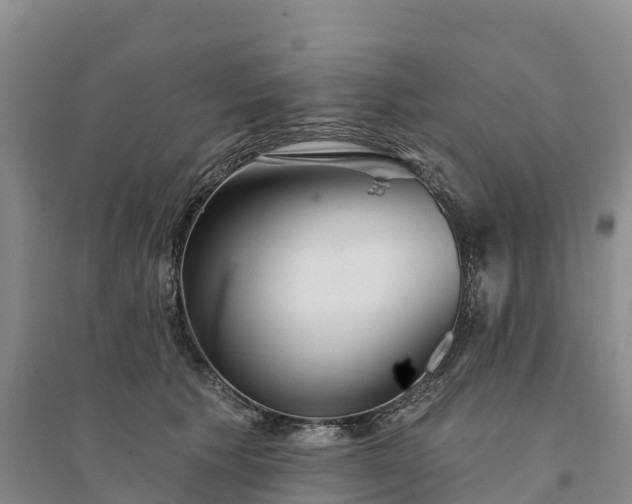X0000094330609200711091406
