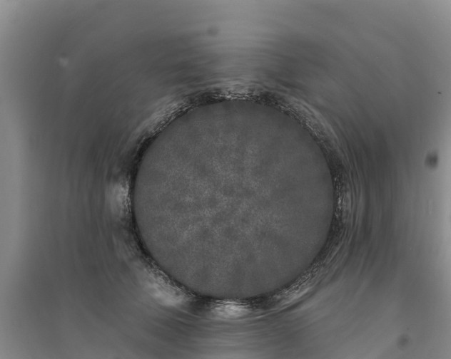 X0000094330610200711091406
