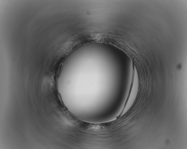 X0000094330611200711091406