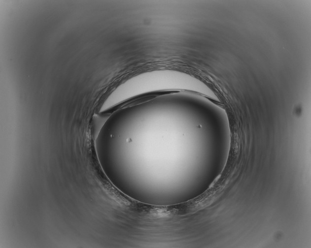 X0000094330613200711091406